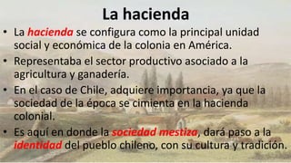 La hacienda
• La hacienda se configura como la principal unidad
social y económica de la colonia en América.
• Representaba el sector productivo asociado a la
agricultura y ganadería.
• En el caso de Chile, adquiere importancia, ya que la
sociedad de la época se cimienta en la hacienda
colonial.
• Es aquí en donde la sociedad mestiza, dará paso a la
identidad del pueblo chileno, con su cultura y tradición.
 