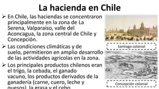 La hacienda en Chile
 En Chile, las haciendas se concentraron
principalmente en la zona de La
Serena, Valparaíso, valle del
Aconcagua, la zona central de Chile y
Concepción.
 Las condiciones climáticas y de
suelo, permitieron en amplio desarrollo
de las actividades agrícolas en la zona.
 Los principales productos chilenos eran
el trigo, la cebada, el ganado
vacuno, los productos derivados de la
ganadería (carne, cuero, leche y
Santiago colonial
Concepción colonial
 
