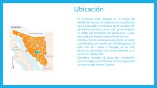 Ubicación
El municipio está ubicado en el oeste del
estado de Sonora, su cabecera es la población
de La Colorada y se localiza en el paralelo 28°
48' de latitud norte y a los 110° 34' de longitud
al oeste del meridiano de Greenwich; a una
altura de 400 metros sobre el nivel del mar.
Colinda con los municipios siguientes: al norte
con Mazatán, al noreste con Villa Pesqueira, al
este con San Javier y Soyopa, al sur con
Guaymas, al sureste con Suaqui Grande, y al
oeste con Hermosillo.
Carretera numero 16 pasa por Hermosillo
sonora y llega a La Colorada, Sonora siguiendo
su camino astaYecora, Sonora.
 