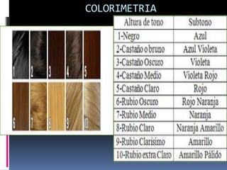 La colorimetria | PPTX