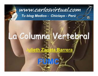 La Columna Vertebral
    Julieth Zapata Barrera

         FUMC
 
