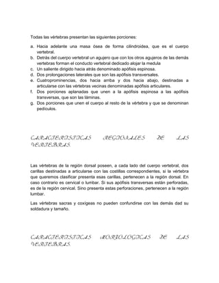 Todas las vértebras presentan las siguientes porciones:
a. Hacia adelante una masa ósea de forma cilindroidea, que es el cuerpo
vertebral.
b. Detrás del cuerpo vertebral un agujero que con los otros agujeros de las demás
vertebras forman el conducto vertebral dedicado alojar la medula
c. Un saliente dirigido hacia atrás denominado apófisis espinosa.
d. Dos prolongaciones laterales que son las apófisis transversales.
e. Cuatroprominencias, dos hacia arriba y dos hacia abajo, destinadas a
articularse con las vértebras vecinas denominadas apófisis articulares.
f. Dos porciones aplanadas que unen a la apófisis espinosa a las apófisis
transversas, que son las láminas.
g. Dos porciones que unen el cuerpo al resto de la vértebra y que se denominan
pedículos.
CARACTERISTICAS REGIONALES DE LAS
VERTEBRAS.
Las vértebras de la región dorsal poseen, a cada lado del cuerpo vertebral, dos
carillas destinadas a articularse con las costillas correspondientes, si la vértebra
que queremos clasificar presenta esas carillas, pertenecen a la región dorsal. En
caso contrario es cervical o lumbar. Si sus apófisis transversas están perforadas,
es de la región cervical. Sino presenta estas perforaciones, pertenecen a la región
lumbar.
Las vértebras sacras y coxígeas no pueden confundirse con las demás dad su
soldadura y tamaño.
CARACTERISTICAS MORFOLOGICAS DE LAS
VERTEBRAS.
 