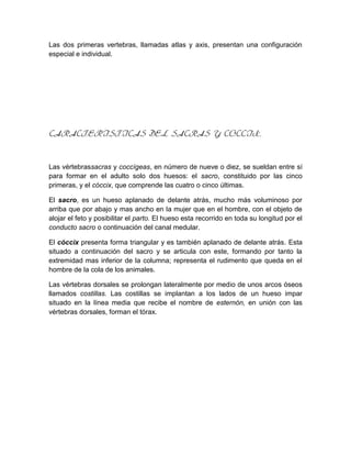 Las dos primeras vertebras, llamadas atlas y axis, presentan una configuración
especial e individual.
CARACTERISTICAS DEL SACRAS Y COCCIX.
Las vértebrassacras y coccígeas, en número de nueve o diez, se sueldan entre sí
para formar en el adulto solo dos huesos: el sacro, constituido por las cinco
primeras, y el cóccix, que comprende las cuatro o cinco últimas.
El sacro, es un hueso aplanado de delante atrás, mucho más voluminoso por
arriba que por abajo y mas ancho en la mujer que en el hombre, con el objeto de
alojar el feto y posibilitar el parto. El hueso esta recorrido en toda su longitud por el
conducto sacro o continuación del canal medular.
El cóccix presenta forma triangular y es también aplanado de delante atrás. Esta
situado a continuación del sacro y se articula con este, formando por tanto la
extremidad mas inferior de la columna; representa el rudimento que queda en el
hombre de la cola de los animales.
Las vértebras dorsales se prolongan lateralmente por medio de unos arcos óseos
llamados costillas. Las costillas se implantan a los lados de un hueso impar
situado en la línea media que recibe el nombre de esternón, en unión con las
vértebras dorsales, forman el tórax.
 