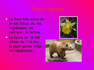 Flora i fauna
   La flora més comú de
    la Vall d’Aran és: les
    hepàtiques, els
    narcisos i la fàrfara.
   La fauna de la Vall
    d’Aran és: l’ ós bru ,
    el pigot garser mitjà i
    els capgrossos.
 