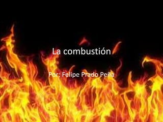 La combustión
Por: Felipe Prado Peña
 