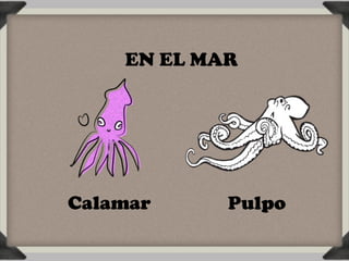 EN EL MAR




Calamar     Pulpo
 
