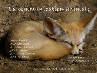 La communication animale




Préparé par :
ALAZRI Sara
GHANMI Zaineb
JABAL Morad
JOUICHAT Lamiaa
SABIRI Sana                             Encadr par :
                                        Pr CHAMCHAM

             Année universitaire  : 2011/2012          1
 