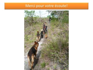 Merci pour votre écoute!
 