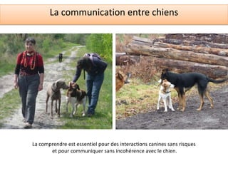 La communication entre chiens




La comprendre est essentiel pour des interactions canines sans risques
       et pour communiquer sans incohérence avec le chien.
 