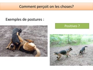 Comment perçoit on les choses?


Exemples de postures :
                               Positives ?
 