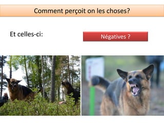Comment perçoit on les choses?


Et celles-ci:                Négatives ?
 