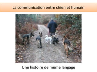 La communication entre chien et humain




    Une histoire de même langage
 