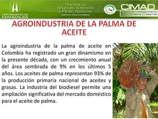 La agroindustria de la palma de aceite en
Colombia ha registrado un gran dinamismo en
la presente década, con un crecimien...