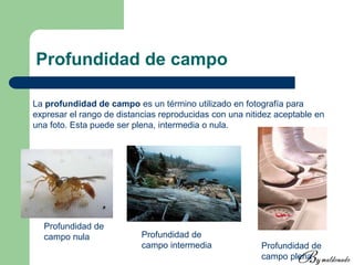 Profundidad de campo
La profundidad de campo es un término utilizado en fotografía para
expresar el rango de distancias reproducidas con una nitidez aceptable en
una foto. Esta puede ser plena, intermedia o nula.
Profundidad de
campo nula Profundidad de
campo intermedia Profundidad de
campo plena
 