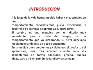 La plasticidad es una característica fundamental del cerebro durante toda la vida, así podemos encontrar un periodo degenerativo a mayor edad.