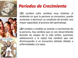 Koizumi-Coffiel (Aprendizaje).KoizumeDefine el aprendizaje como el proceso en que el cerebro reacciona ante  los estímulos.CoffielPropone que el aprendizaje se refiere a cambios significativos en la capacidad,  comprensión, actitudes o valores de parte de los individuos.