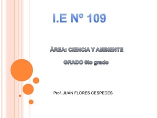 I.E Nº 109  ÀREA: CIENCIA Y AMBIENTE GRADO 6to grado  Prof. JUAN FLORES CESPEDES  