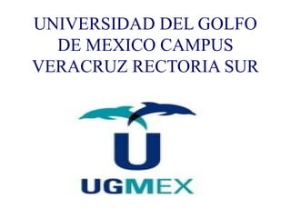 UNIVERSIDAD DEL GOLFO 
DE MEXICO CAMPUS 
VERACRUZ RECTORIA SUR 
 