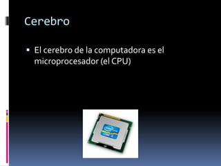 Cerebro
El cerebro de la computadora es el
microprocesador (el CPU)