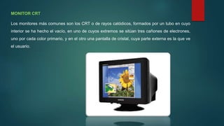 MONITOR CRT
Los monitores más comunes son los CRT o de rayos catódicos, formados por un tubo en cuyo
interior se ha hecho el vacío, en uno de cuyos extremos se sitúan tres cañones de electrones,
uno por cada color primario, y en el otro una pantalla de cristal, cuya parte externa es la que ve
el usuario.
 