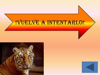!VUELVE A INTENTARLO!
 