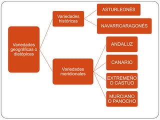 ASTURLEONÉS
                Variedades
                 históricas
                                NAVARROARAGONÉS



 Variedades                        ANDALUZ
geográficas o
 diatópicas
                                   CANARIO
                 Variedades
                 meridionales
                                 EXTREMEÑO
                                  O CASTÚO

                                  MURCIANO
                                  O PANOCHO
 