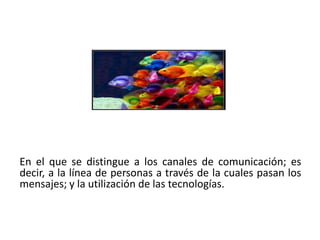 En el que se distingue a los canales de comunicación; es
decir, a la línea de personas a través de la cuales pasan los
mensajes; y la utilización de las tecnologías.
 