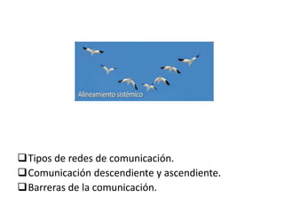 Tipos de redes de comunicación.
Comunicación descendiente y ascendiente.
Barreras de la comunicación.
 