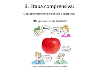 3. Etapa comprensiva:
El receptor del mensaje lo recibe e interpreta.
 