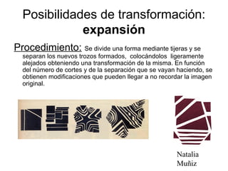 Posibilidades de transformación:
expansión
Procedimiento: Se divide una forma mediante tijeras y se

separan los nuevos trozos formados, colocándolos ligeramente
alejados obteniendo una transformación de la misma. En función
del número de cortes y de la separación que se vayan haciendo, se
obtienen modificaciones que pueden llegar a no recordar la imagen
original.

Natalia
Muñiz

 
