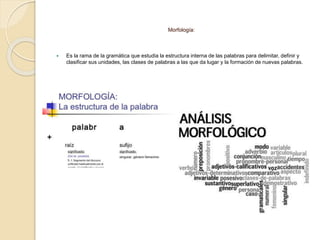 Morfología:
 Es la rama de la gramática que estudia la estructura interna de las palabras para delimitar, definir y
clasificar sus unidades, las clases de palabras a las que da lugar y la formación de nuevas palabras.
 