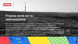 Finanza verde per la
deforestazione
Una nota azienda che produce pneumatici pubblicizzava il progetto di piantumazione
con alberi della gomma per rinverdire 90.000 ettari di foresta distrutti dal
disboscamento illegale in Indonesia. L’organizzazione no-profit Mighty Earth ha
scoperto che il progetto, finanziato con 95 milioni di dollari di obbligazioni verdi era in
realtà una piantagione di gomma naturale a monocultura che ha sostituito migliaia di
ettari di habitat di oranghi, tigri ed elefanti che erano stati rasi al suolo da un’azienda,
partner locale della multinazionale che produce pneumatici.
 