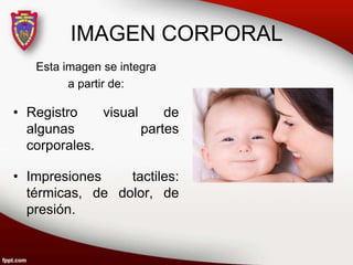 IMAGEN CORPORAL
Esta imagen se integra
a partir de:
• Registro visual de
algunas partes
corporales.
• Impresiones tactiles:
térmicas, de dolor, de
presión.