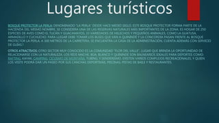 Lugares turísticos
BOSQUE PROTECTOR LA PERLA: DENOMINADO “LA PERLA” DESDE HACE MEDIO SIGLO. ESTE BOSQUE PROTECTOR FORMA PARTE DE LA
HACIENDA DEL MISMO NOMBRE, SE CONSIDERA UNA DE LAS RESERVAS NATURALES MÁS IMPORTANTES DE LA ZONA. ES HOGAR DE 250
ESPECIES DE AVES COMO EL TUCÁN Y GUACAMAYOS, 33 VARIEDADES DE HELECHOS Y PEQUEÑOS ANIMALES, COMO LA GUATUSA,
ARMADILLO Y CUCHUCHO. PARA LLEGAR DEBE TOMAR LOS BUSES QUE VAN A QUININDÉ Y LA CONCORDIA PASAN FRENTE AL BOSQUE
PROTECTOR LA PERLA. A 300 METROS DE LA CARRETERA, SE ENCUENTRA LA CASA DE LA ADMINISTRACIÓN, CUENTA ADEMÁS CON SERVICIO
DE GUÍAS.5
OTROS ATRACTIVOS: OTRO SECTOR MUY CONOCIDO ES LA COMUNIDAD "FLOR DEL VALLE", LUGAR QUE BRINDA LA OPORTUNIDAD DE
RELACIONARSE CON LA NATURALEZA. LOS RÍOS MACHE, BÚA, BLANCO Y QUININDÉ SON BALNEARIOS IDEALES PARA DEPORTES COMO:
RAFTING, KAYAK, CAMPING, CICLISMO DE MONTAÑA, TUBING, Y SENDERISMO. EXISTEN VARIOS COMPLEJOS RECREACIONALES, Y QUIEN
LOS VISITE PODRÁ DAR UN PASEO POR SUS CANCHAS DEPORTIVAS, PISCINAS, PISTAS DE BAILE Y RESTAURANTES.
 