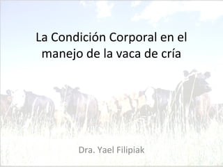 La Condición Corporal en el 
manejo de la vaca de cría 
Dra. Yael Filipiak 
 