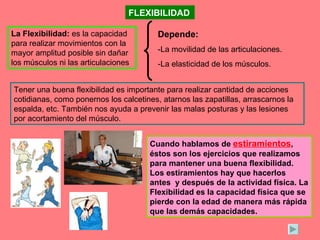 FLEXIBILIDAD La Flexibilidad:  es la capacidad para realizar movimientos con la mayor amplitud posible sin dañar los músculos ni las articulaciones  Depende: -La movilidad de las articulaciones. -La elasticidad de los músculos. Tener una buena flexibilidad es importante para realizar cantidad de acciones cotidianas, como ponernos los calcetines, atarnos las zapatillas, arrascarnos la espalda, etc. También nos ayuda a prevenir las malas posturas y las lesiones por acortamiento del músculo. Cuando hablamos de  estiramientos , éstos son los ejercicios que realizamos para mantener una buena flexibilidad. Los estiramientos hay que hacerlos antes  y después de la actividad física. La Flexibilidad es la capacidad física que se pierde con la edad de manera más rápida que las demás capacidades. 