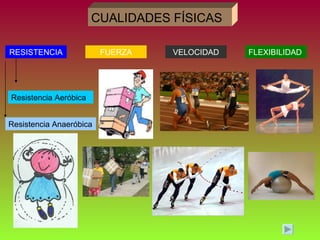 CUALIDADES FÍSICAS

RESISTENCIA              FUERZA   VELOCIDAD   FLEXIBILIDAD




Resistencia Aeróbica


Resistencia Anaeróbica
 