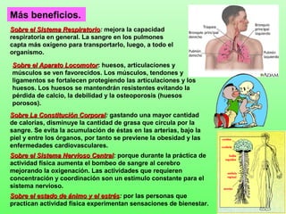 Más beneficios.
Sobre el Sistema Respiratorio: mejora la capacidad
                  Respiratorio
respiratoria en general. La sangre en los pulmones
capta más oxígeno para transportarlo, luego, a todo el
organismo.

Sobre el Aparato Locomotor: huesos, articulaciones y
                  Locomotor
músculos se ven favorecidos. Los músculos, tendones y
ligamentos se fortalecen protegiendo las articulaciones y los
huesos. Los huesos se mantendrán resistentes evitando la
pérdida de calcio, la debilidad y la osteoporosis (huesos
porosos).
Sobre La Constitución Corporal: gastando una mayor cantidad
                        Corporal
de calorías, disminuye la cantidad de grasa que circula por la
sangre. Se evita la acumulación de éstas en las arterias, bajo la
piel y entre los órganos, por tanto se previene la obesidad y las
enfermedades cardiovasculares.
Sobre el Sistema Nervioso Central: porque durante la práctica de
                            Central
actividad física aumenta el bombeo de sangre al cerebro
mejorando la oxigenación. Las actividades que requieren
concentración y coordinación son un estímulo constante para el
sistema nervioso.
Sobre el estado de ánimo y el estrés: por las personas que
                               estrés
practican actividad física experimentan sensaciones de bienestar.
 