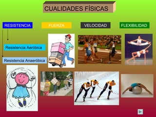 CUALIDADES FÍSICAS

RESISTENCIA              FUERZA   VELOCIDAD   FLEXIBILIDAD




Resistencia Aeróbica


Resistencia Anaeróbica
 