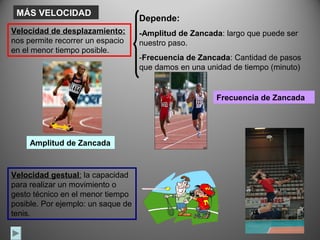 MÁS VELOCIDAD
                                     Depende:
Velocidad de desplazamiento:         -Amplitud de Zancada: largo que puede ser 
nos permite recorrer un espacio      nuestro paso.
en el menor tiempo posible. 
                                     -Frecuencia de Zancada: Cantidad de pasos 
                                     que damos en una unidad de tiempo (minuto)


                                                         Frecuencia de Zancada




     Amplitud de Zancada



Velocidad gestual: la capacidad 
para realizar un movimiento o 
gesto técnico en el menor tiempo 
posible. Por ejemplo: un saque de 
tenis.
 
