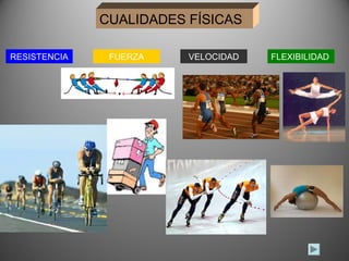 CUALIDADES FÍSICAS

RESISTENCIA    FUERZA    VELOCIDAD   FLEXIBILIDAD
 