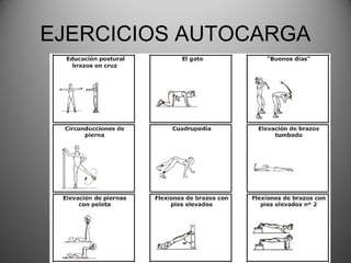 EJERCICIOS AUTOCARGA
 
