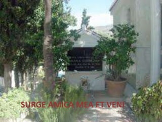 SURGE AMICA MEA ET VENI
 