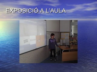 EXPOSICIÓ A L’AULA

 
