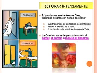 (3) ORAR INTENSAMENTE
Sin Oracion



Si perdemos contacto con Dios,
entonces estamos en riesgo de perder
1)
2)
3)



Con Oracion

.

nuestro sentido de perfeccion, en el Intelecto
Perder el sentido de la Vida
Y perder de vista nuestra mision en la Vida.

La Oracion estan importante como el
comer, el dormir, o incluso el Respirar.

 