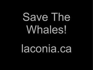 Save The Whales! laconia.ca 