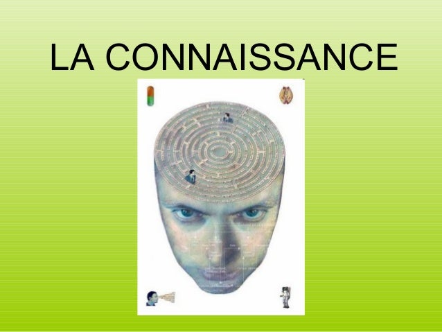 download Il fenomeno umano