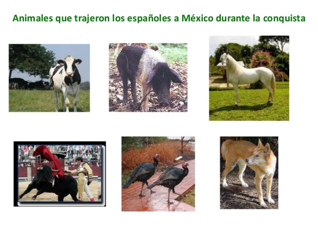 La conquista 3er grado