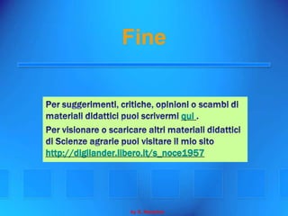 La Conservazione Degli Alimenti Seconda Parte
