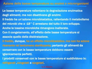 La Conservazione Degli Alimenti Seconda Parte